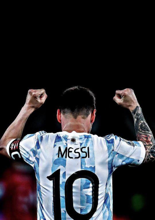 面的潜能 面的潜能