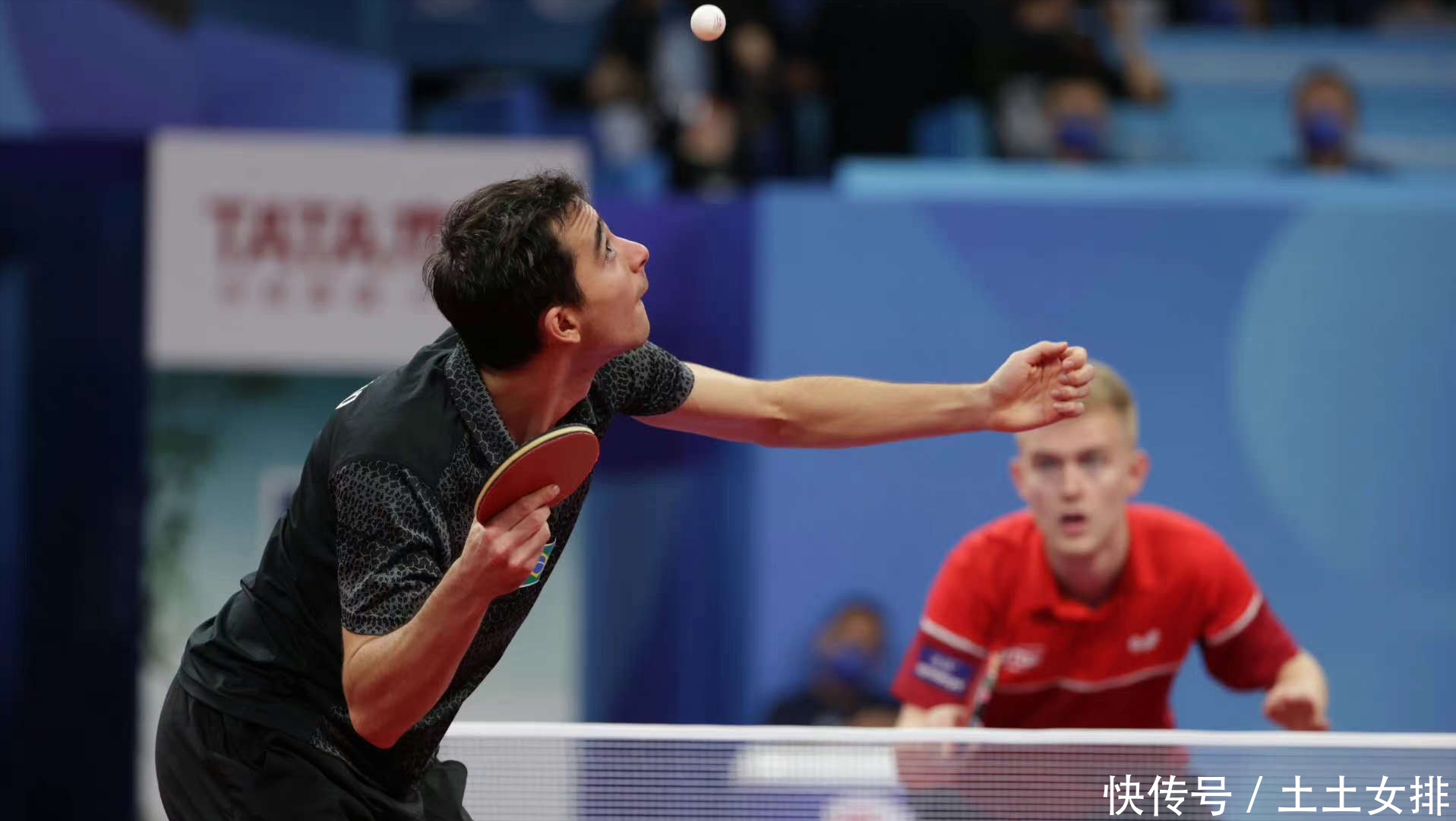 跃奠定了基 跃奠定了基